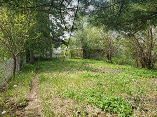 6865 Vaughan (5).jpg